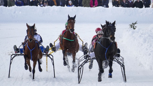 2025全国射击总决赛在杭州鸣枪，首金项目10米气手枪混合团体河南组合问鼎